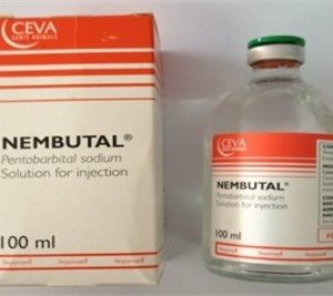 Nembutal soluzione 100ml